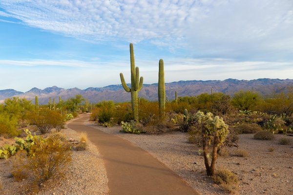 Comment organiser un voyage en camping sauvage dans le désert de l'Arizona, USA ?