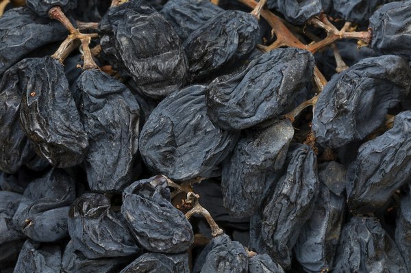 Quelles options pour un gîte en Alsace offrant une expérience de vendanges et de pressage des raisins?